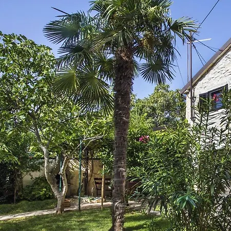 Casa Mediterrana Tatil Evi *