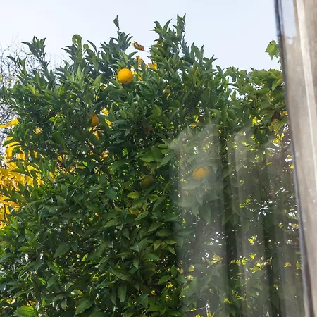 Tatil Evi Casa Mediterrana *