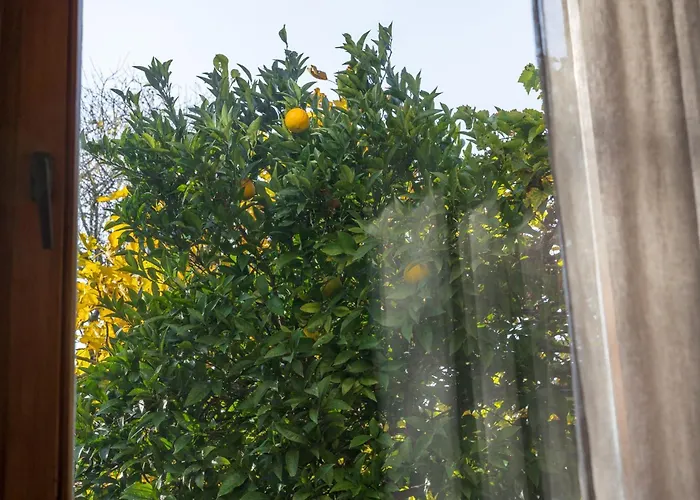 Vakantiehuis Casa Mediterrana *